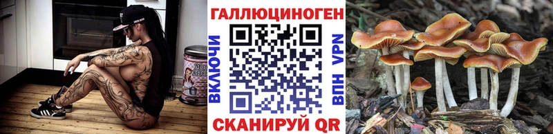 Псилоцибиновые грибы MAGIC MUSHROOMS  что такое   Баксан 