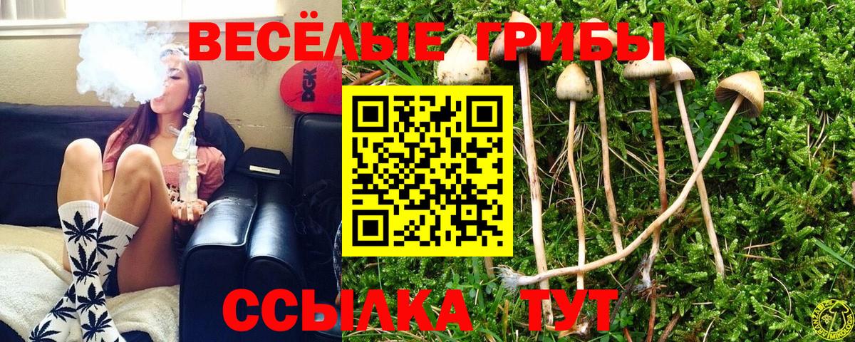 Баксан  цены наркотик  Вход с VPN  Псилоцибиновые грибы Psilocybine cubensis 